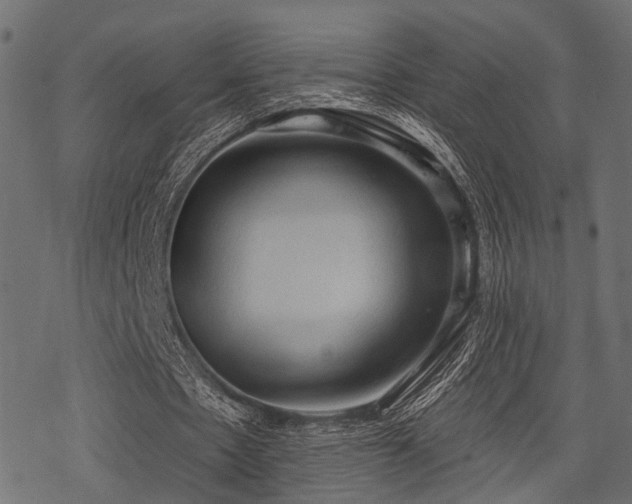 X0000078230481200611031048