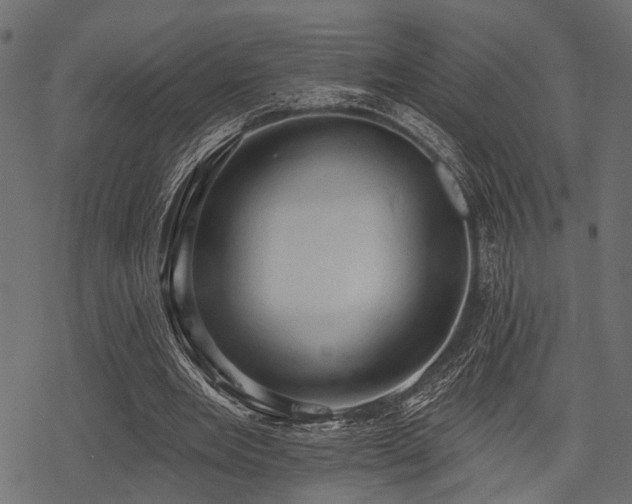 X0000078230485200611031048