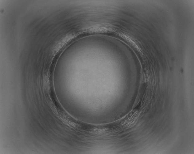 X0000078230487200611031048