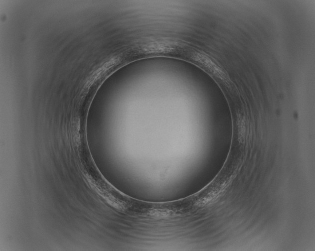 X0000078230490200611031048