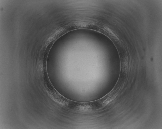 X0000078230500200611031048