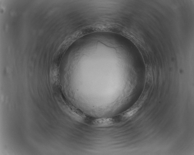 X0000078230526200611031048