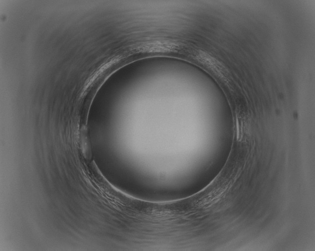 X0000078230531200611031047