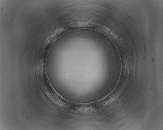 X0000078230542200611031047
