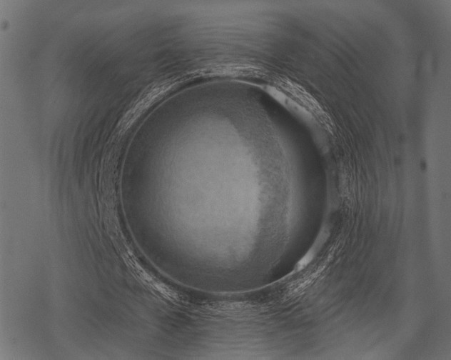X0000078230577200611031047