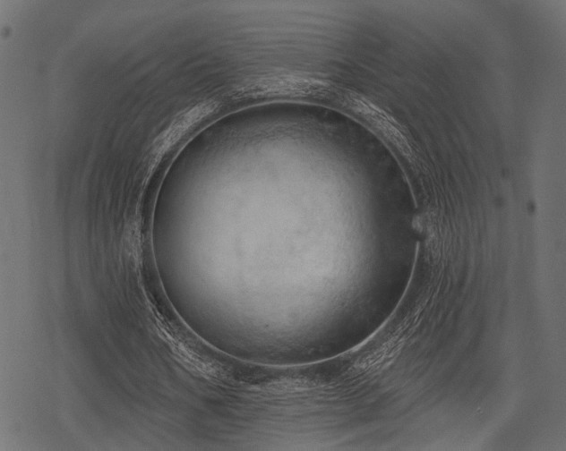 X0000078230578200611031047