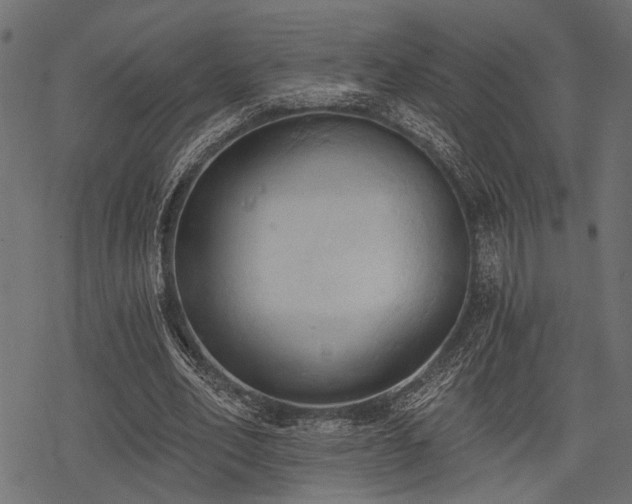 X0000078230582200611031047