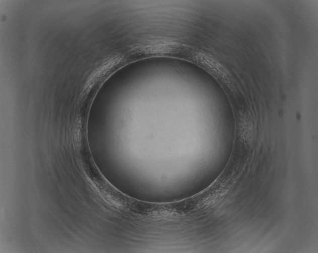 X0000078230586200611031047