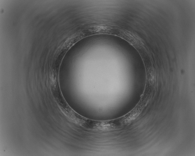X0000078230607200611031046