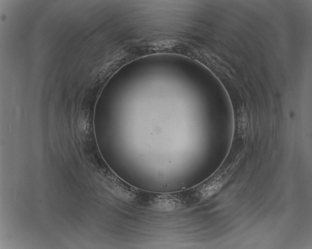 X0000078230608200611031046