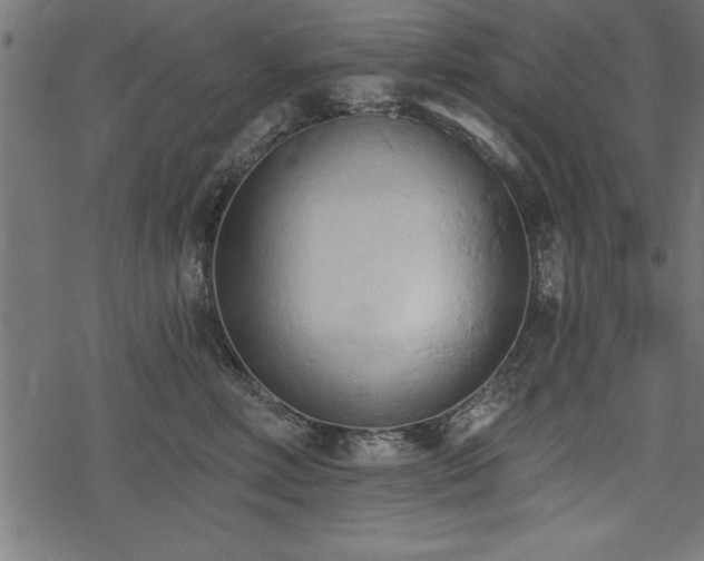 X0000078230618200611031046