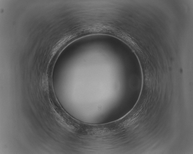 X0000078230626200611031045