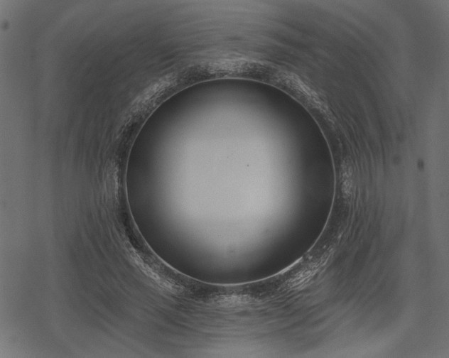 X0000078230637200611031046