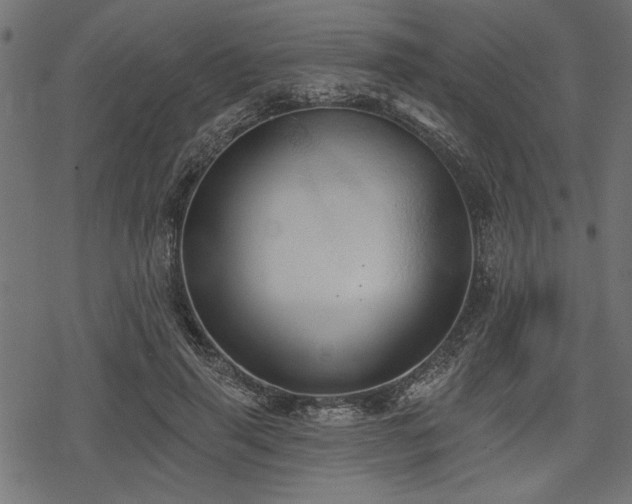 X0000078230645200611031046