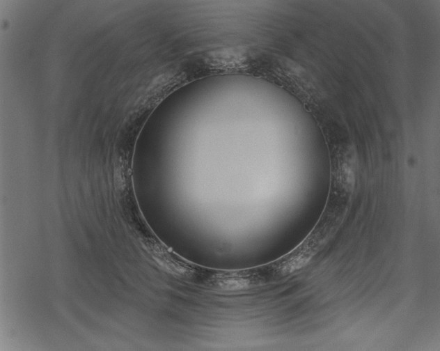 X0000078230658200611031046