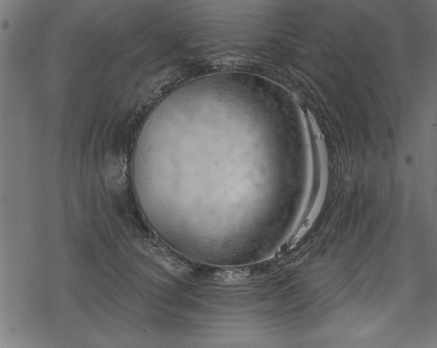X0000078230660200611031046