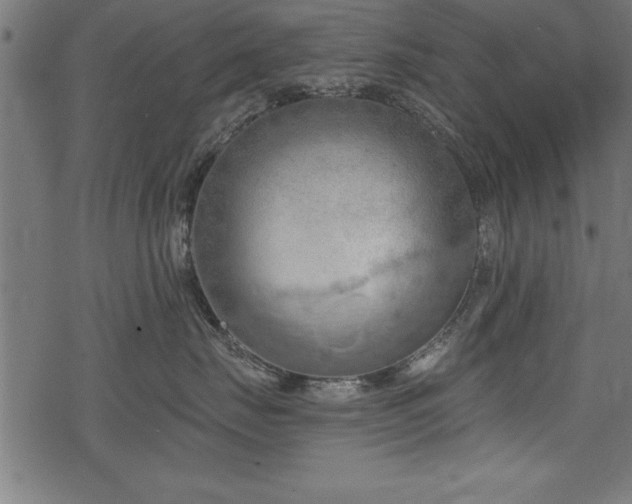 X0000078230671200611031046