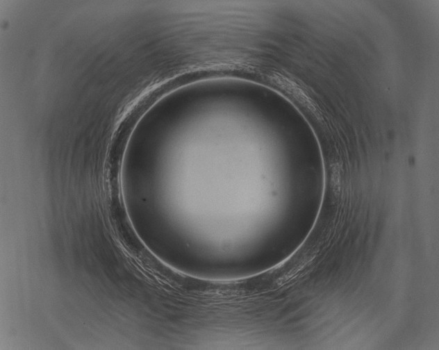 X0000078230676200611031045