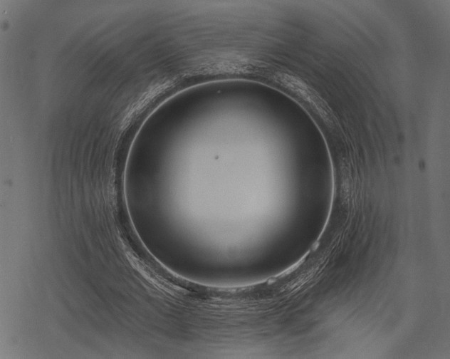 X0000078230677200611031045