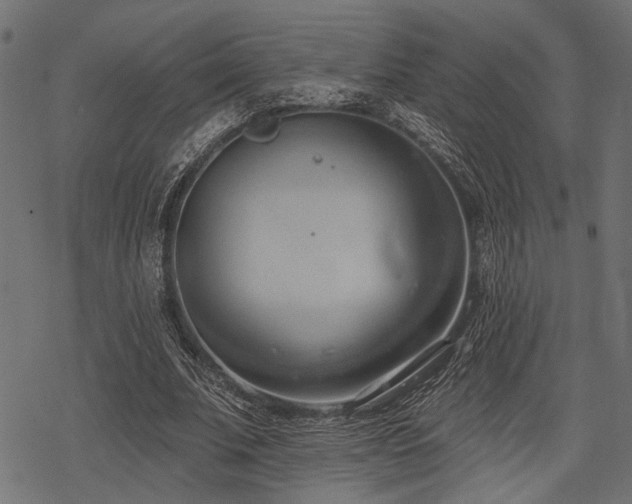 X0000078230679200611031045