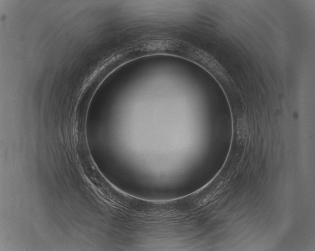 X0000078230722200611031044