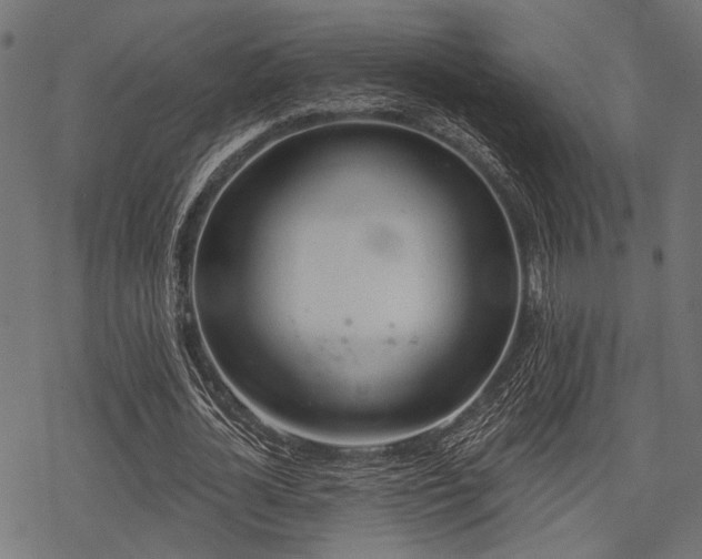 X0000078230724200611031044