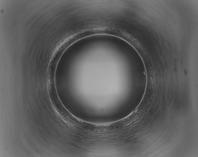 X0000078230728200611031044