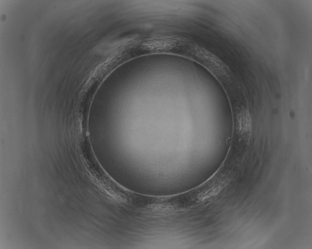 X0000078230733200611031044