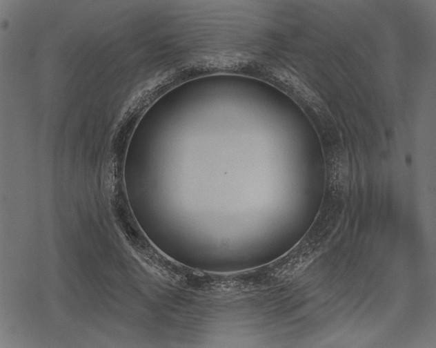 X0000078230736200611031044
