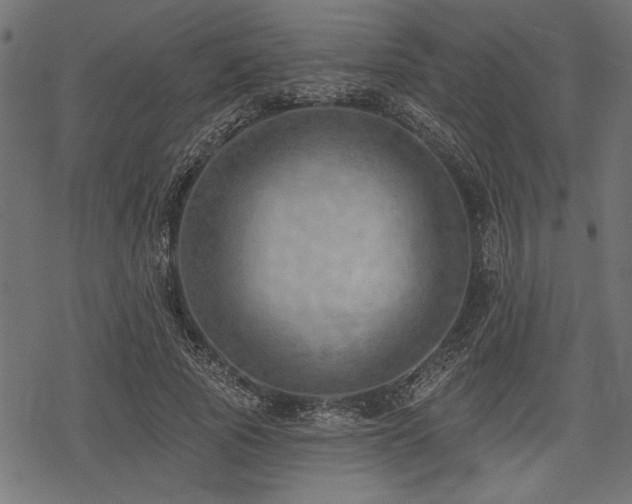 X0000078230737200611031044