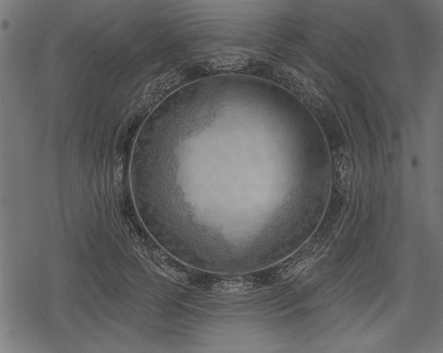 X0000078230745200611031044