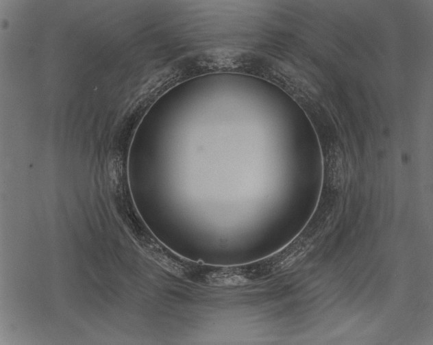 X0000078230747200611031044