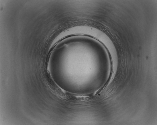 X0000078230750200611031044