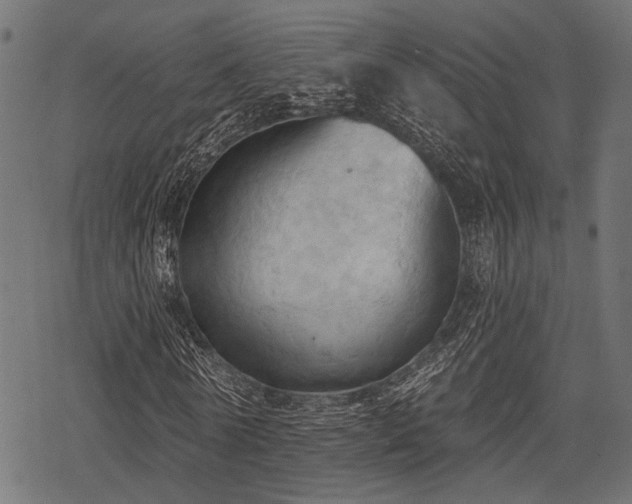 X0000078230770200611031044