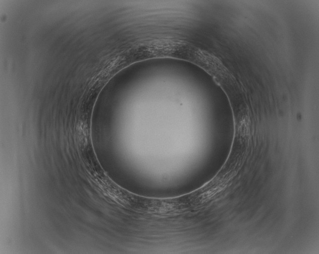 X0000078230772200611031044