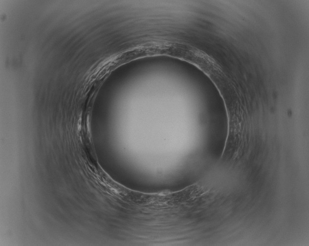 X0000078230773200611031044