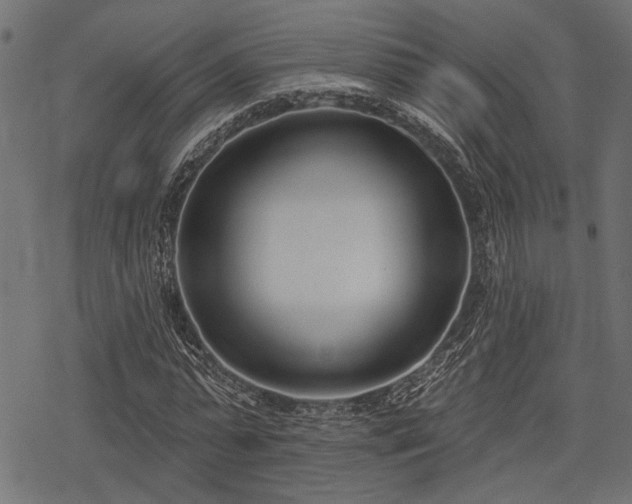 X0000078230775200611031044