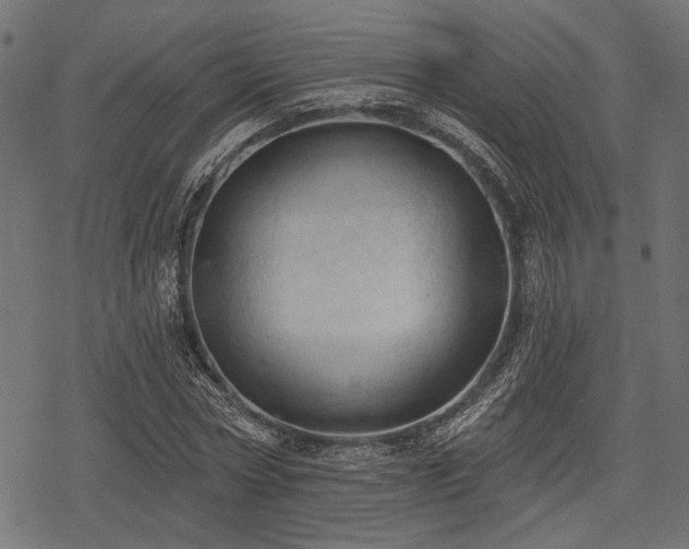 X0000078230778200611031044