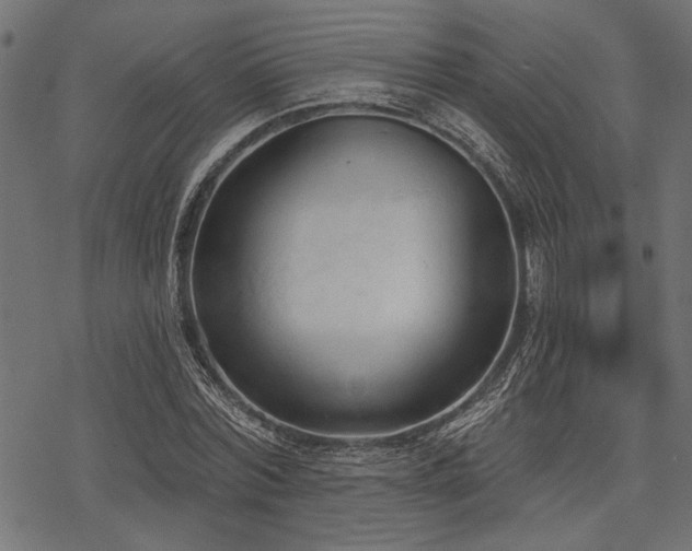 X0000078230780200611031044