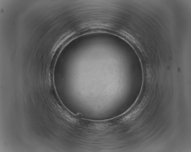 X0000078230782200611031044