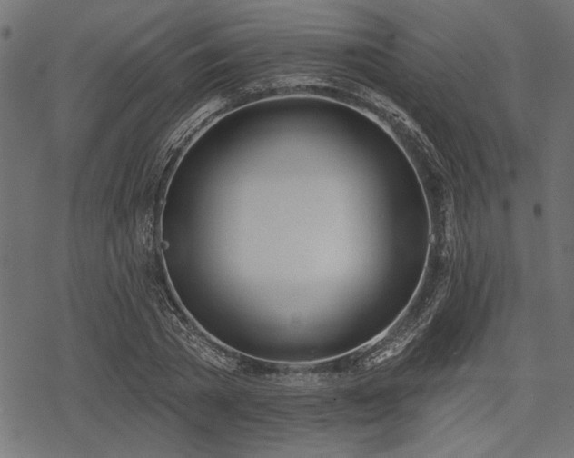 X0000078230785200611031044