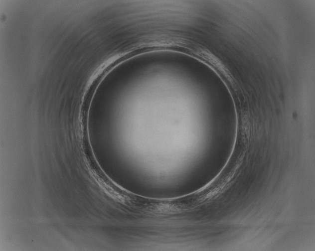 X0000078230787200611031043
