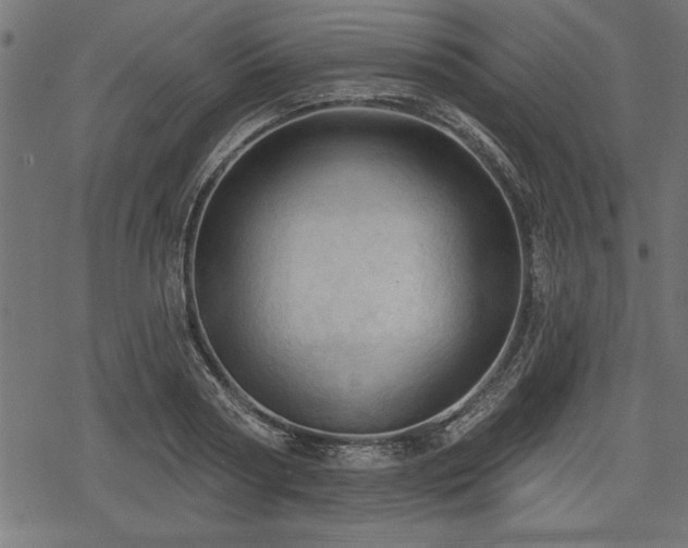 X0000078230794200611031043