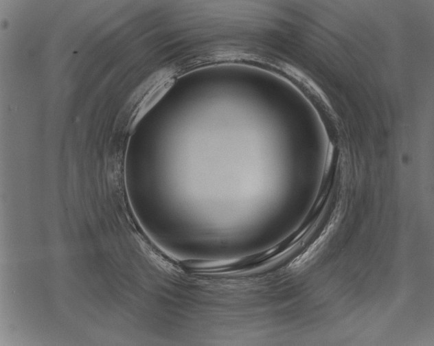 X0000078230801200611031043