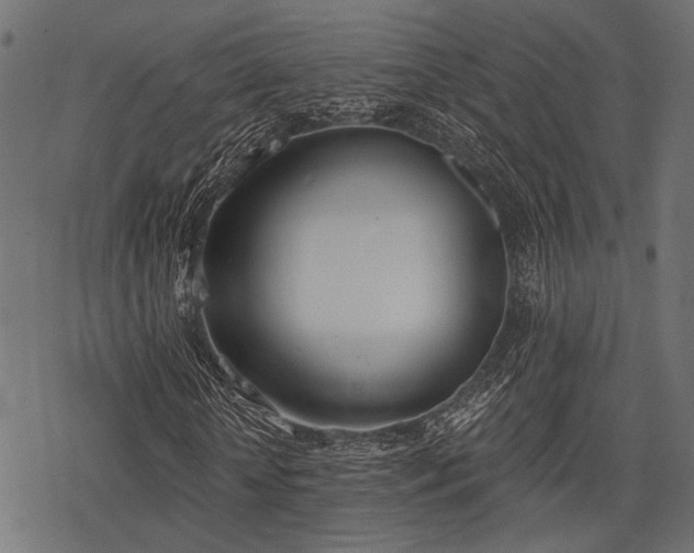 X0000078230818200611031042