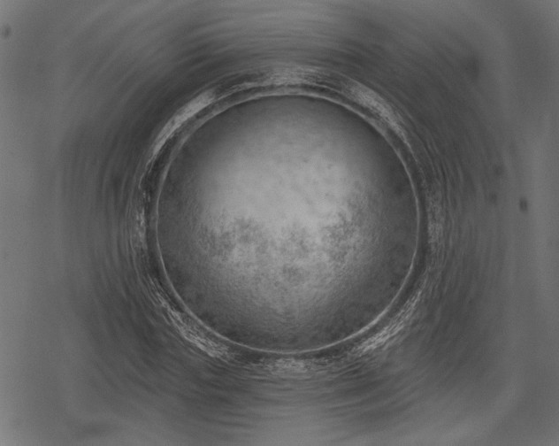 X0000078230827200611031042