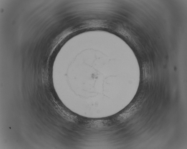 X0000078230828200611031042