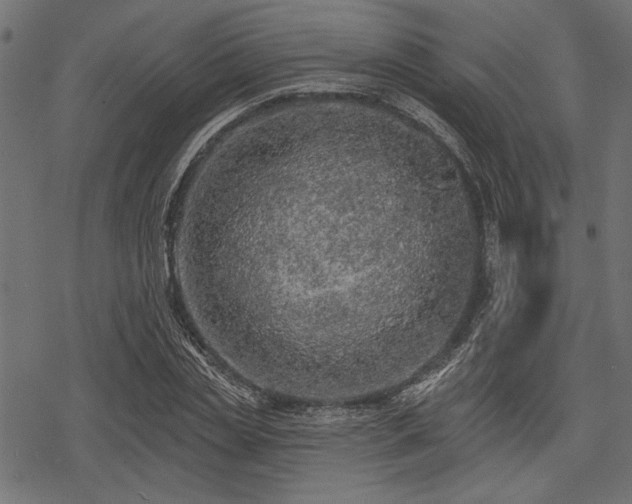 X0000078230829200611031042