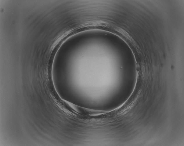X0000078230834200611031042