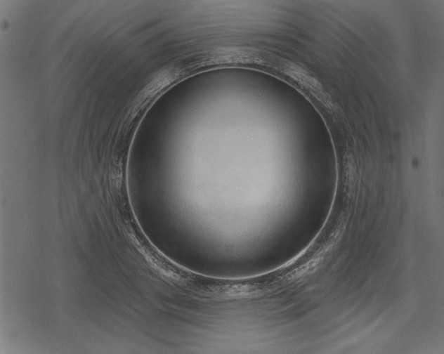 X0000078230841200611031043